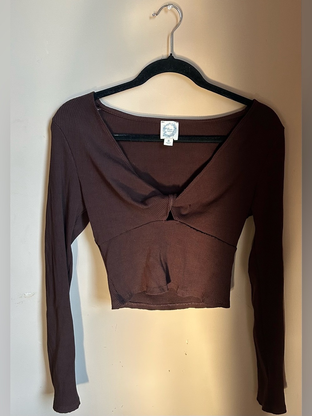 Francesca’s Brown Twist-Front Long Sleeve Crop Top